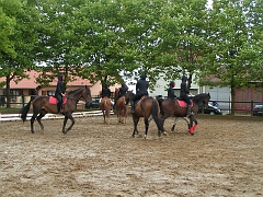 PO 2008 (37)